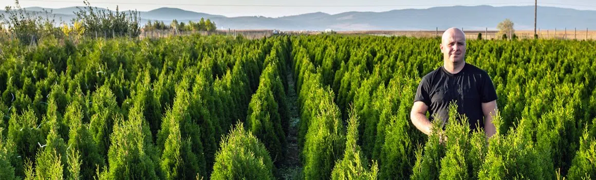 Pepinera GreenFarm