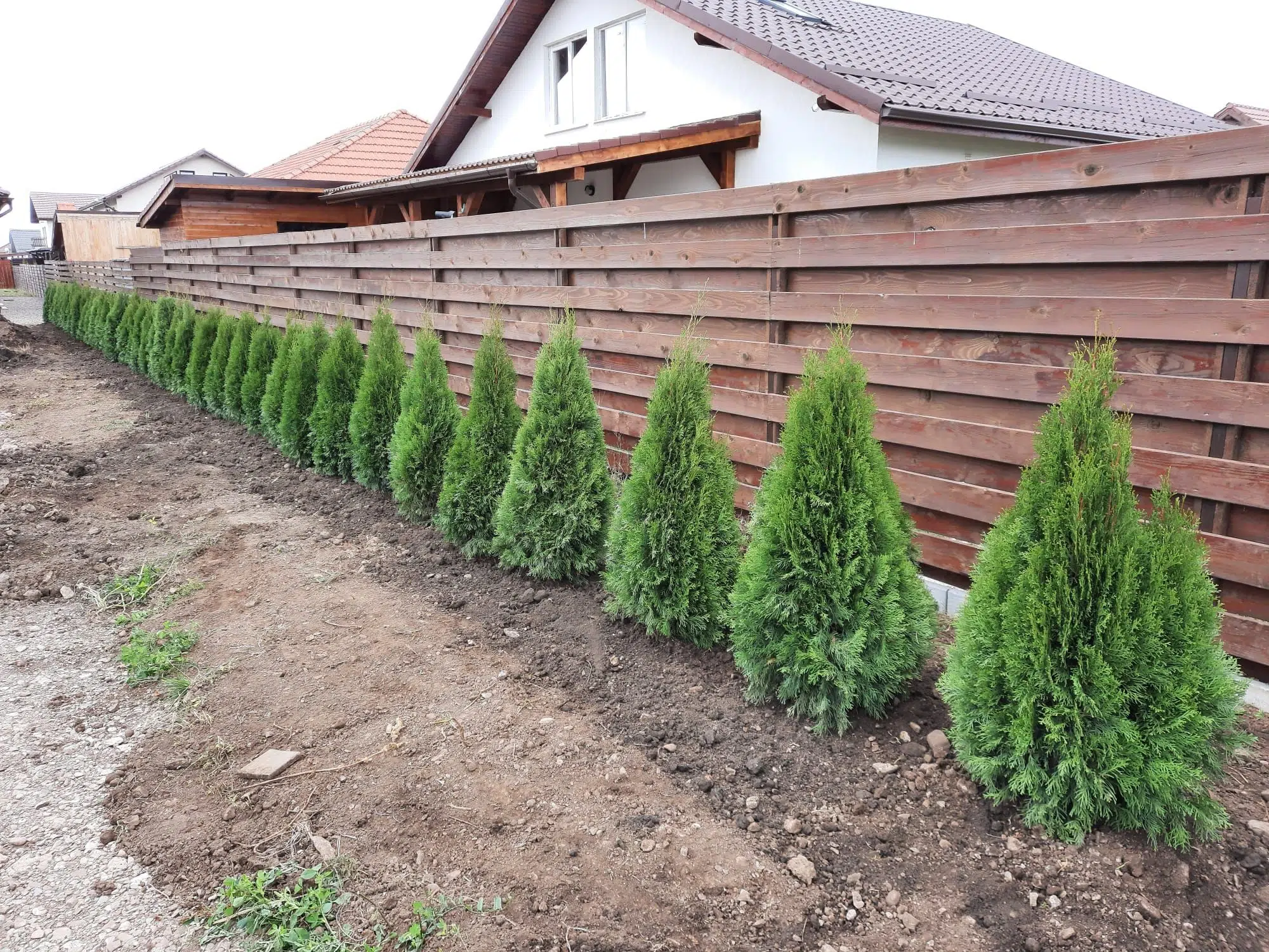 Plante GreenFarm la clienti