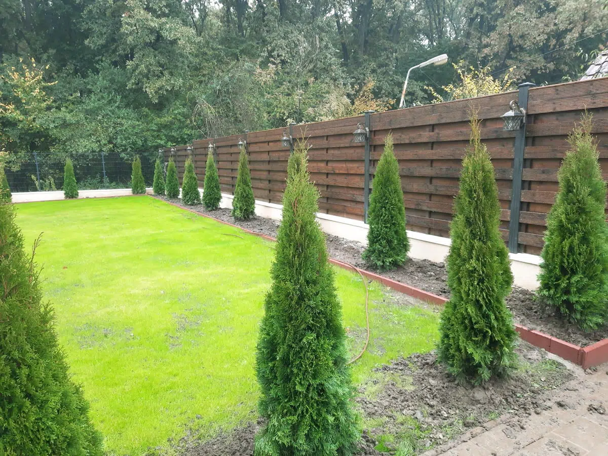 Plante GreenFarm la clienti